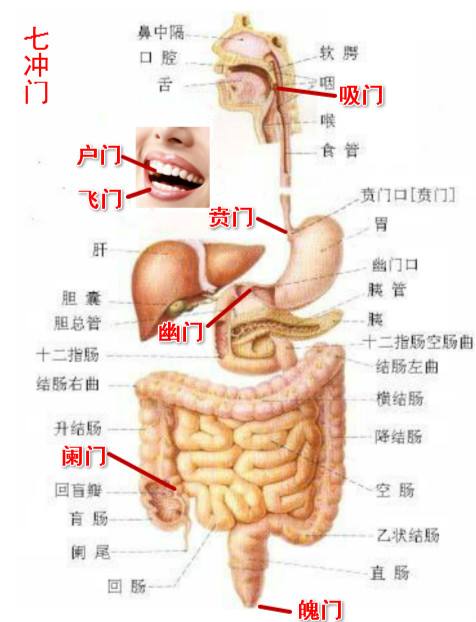 七冲门在中医里是什么意思