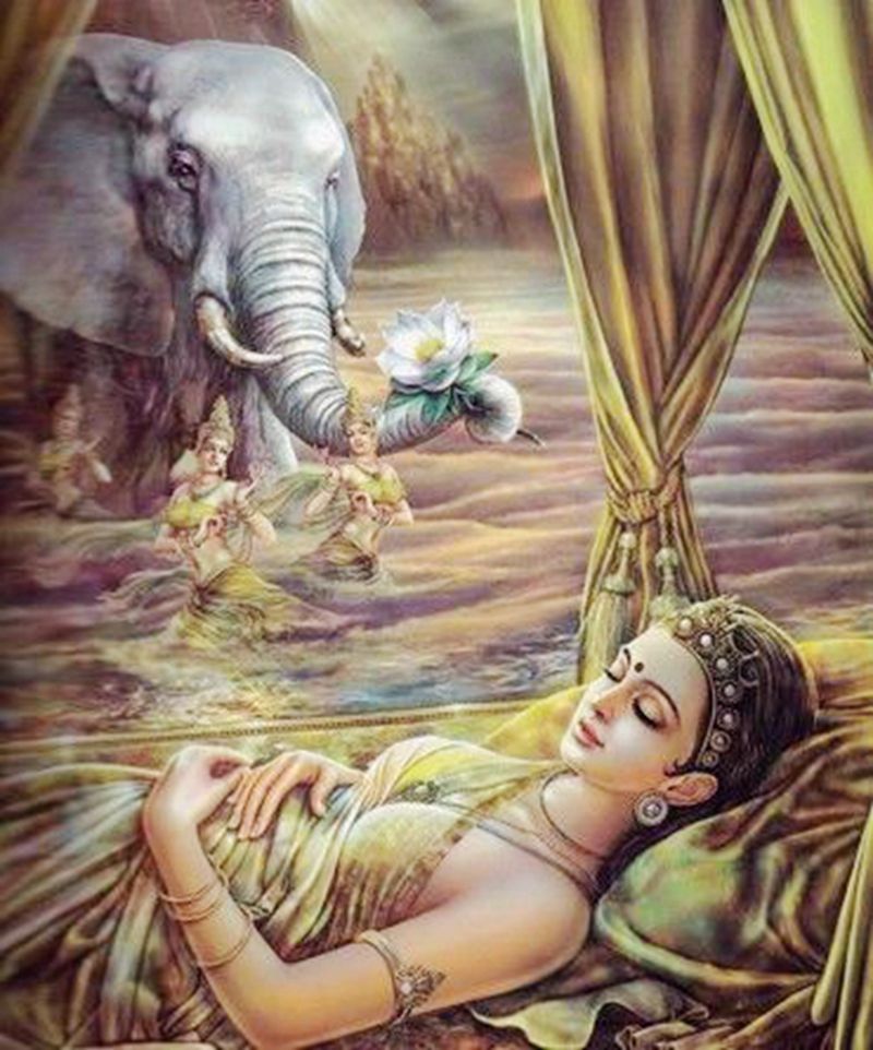 普贤菩萨的坐骑,不动佛的宝座,大象在佛教中可不一般!