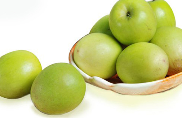 毛叶枣学名滇刺枣属鼠李科枣属果树,因其产于印度,故名印度枣