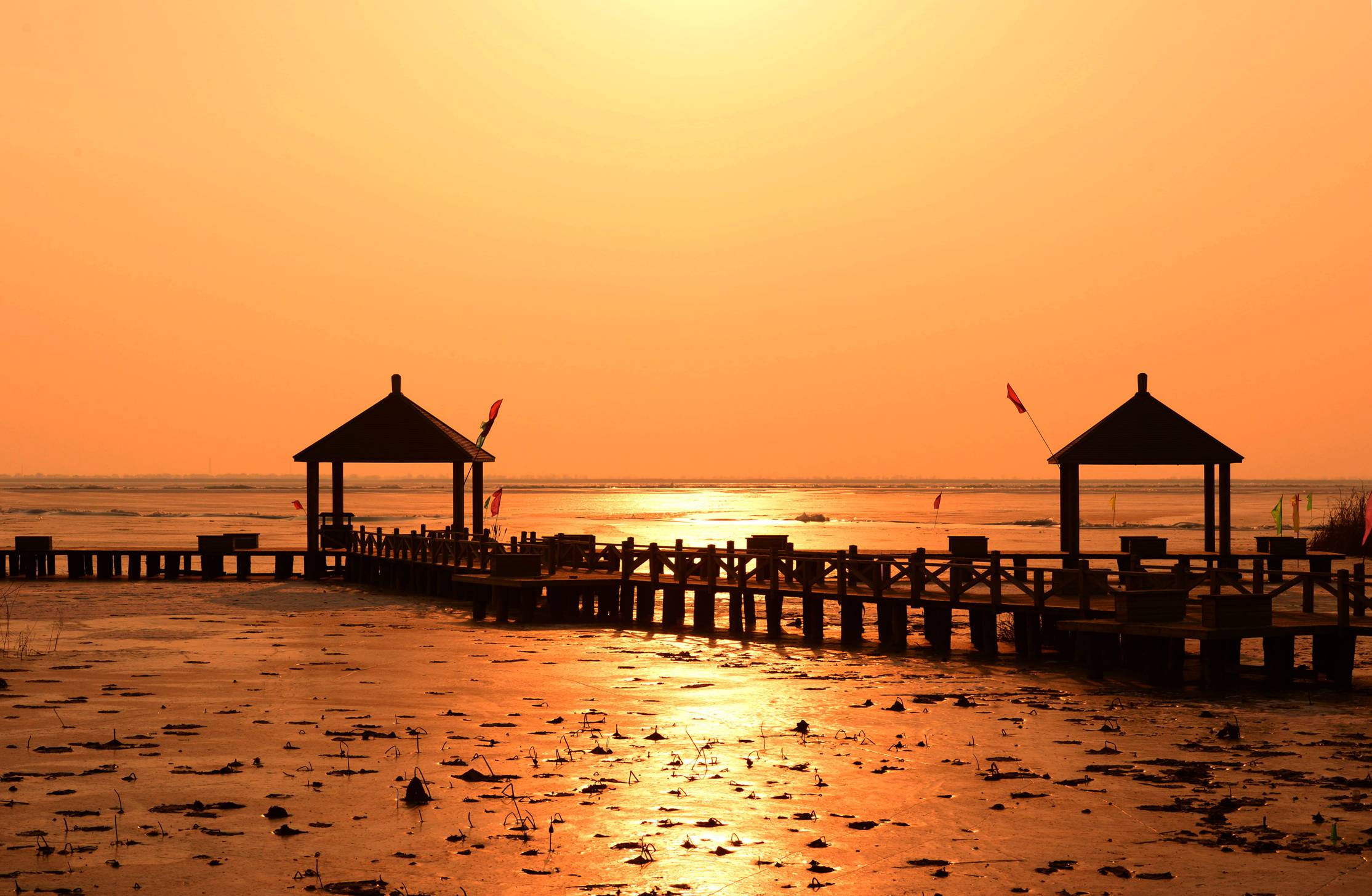 哈素海的湖面烟波浩渺,芦苇丛丛,江南的景色值得一去