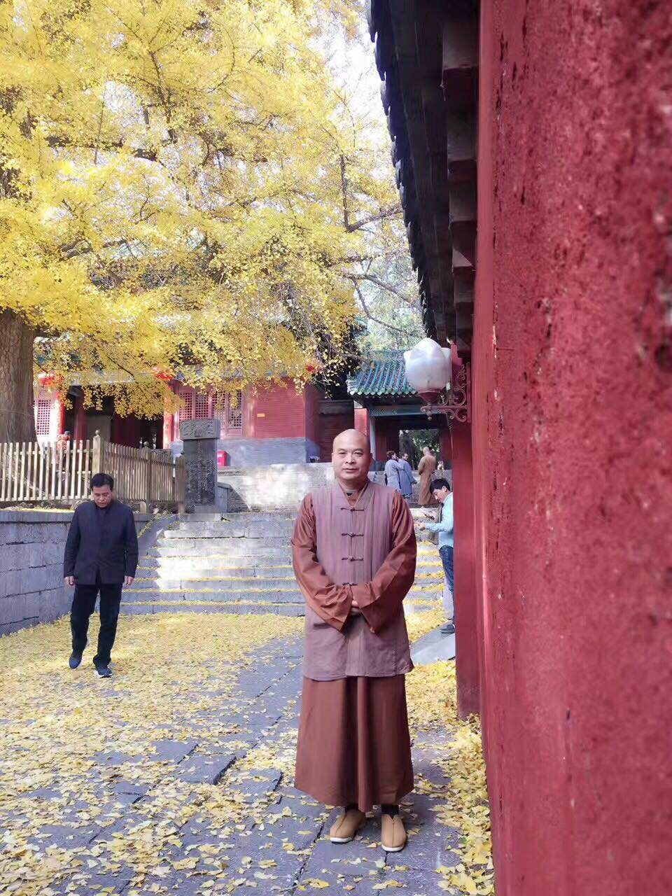 少林寺释延朝法师简介