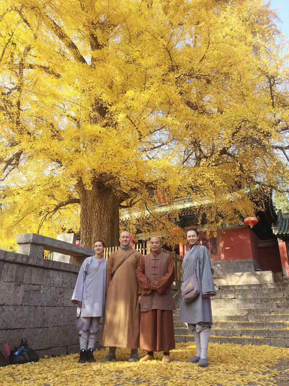 少林寺释延朝法师简介