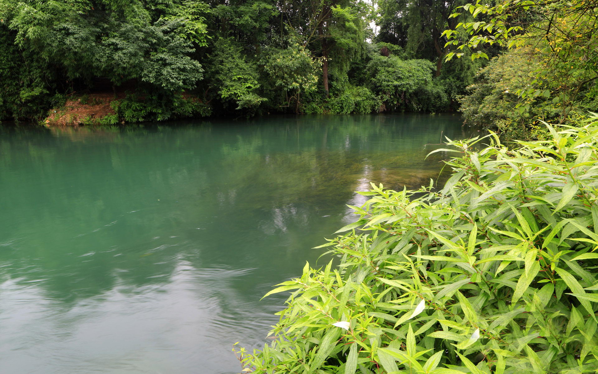 花溪公园融真山真水,田园景色,被誉为高原明珠