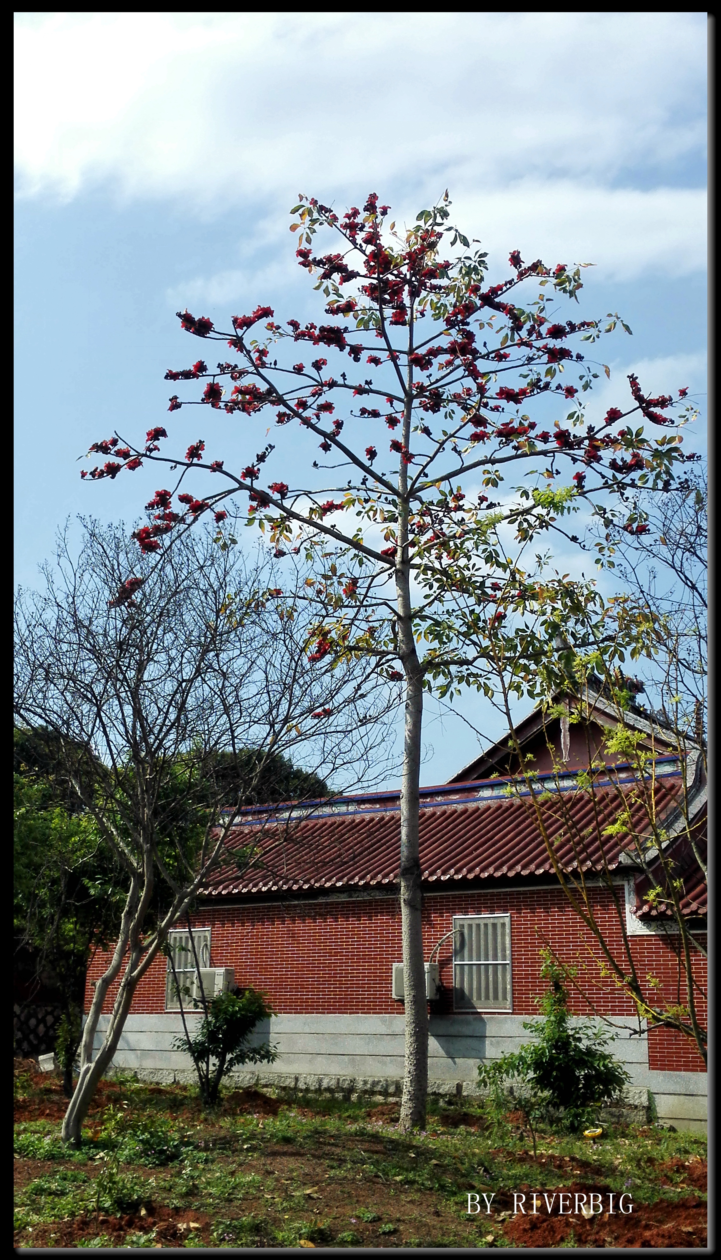 漳州木棉庵——贾似道的毙命处