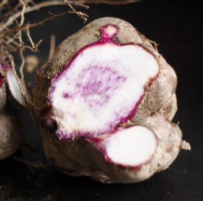 脚扳薯,长相奇葩像脚板 吃起来好吃