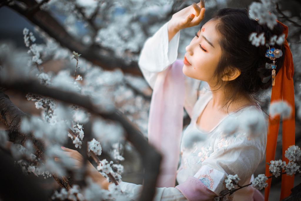 古装人像-梨花盛开,清风徐来