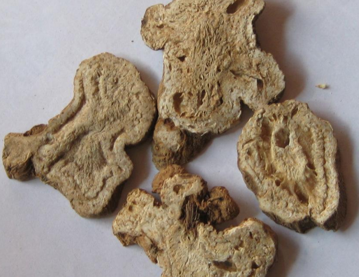 白术的功效虽多,但是有胃病的患者一定不能食用!