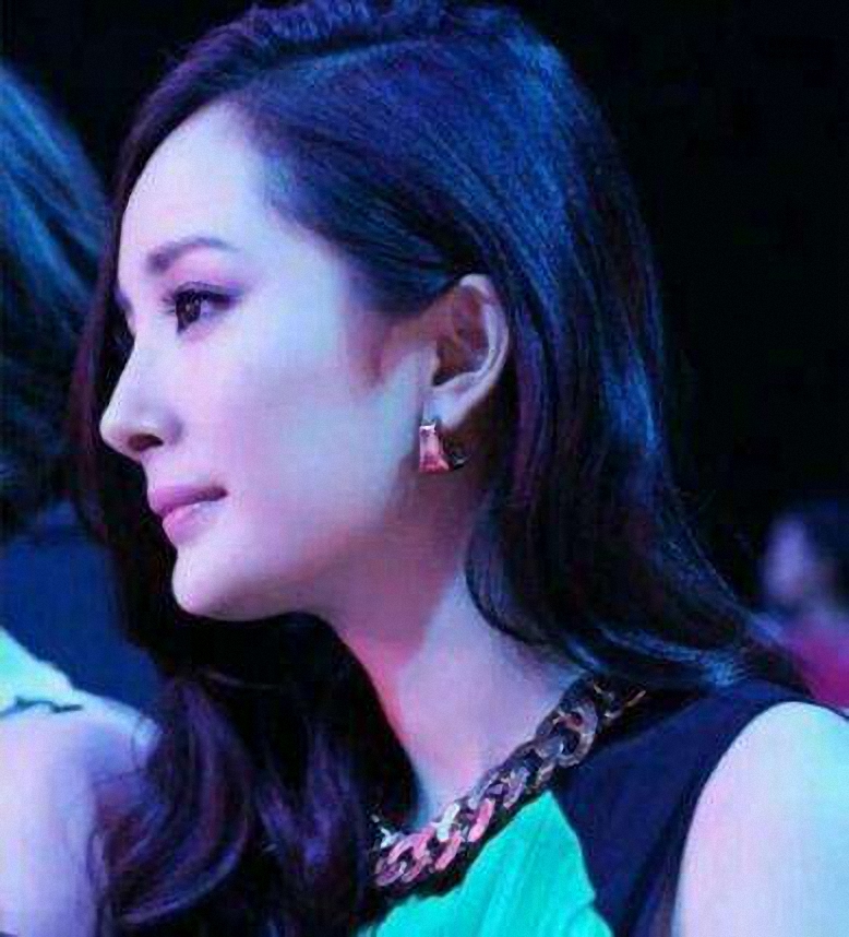 女星侧脸照,范冰冰美炸了,杨幂郑爽刘亦菲,谁的侧脸杀到你了?