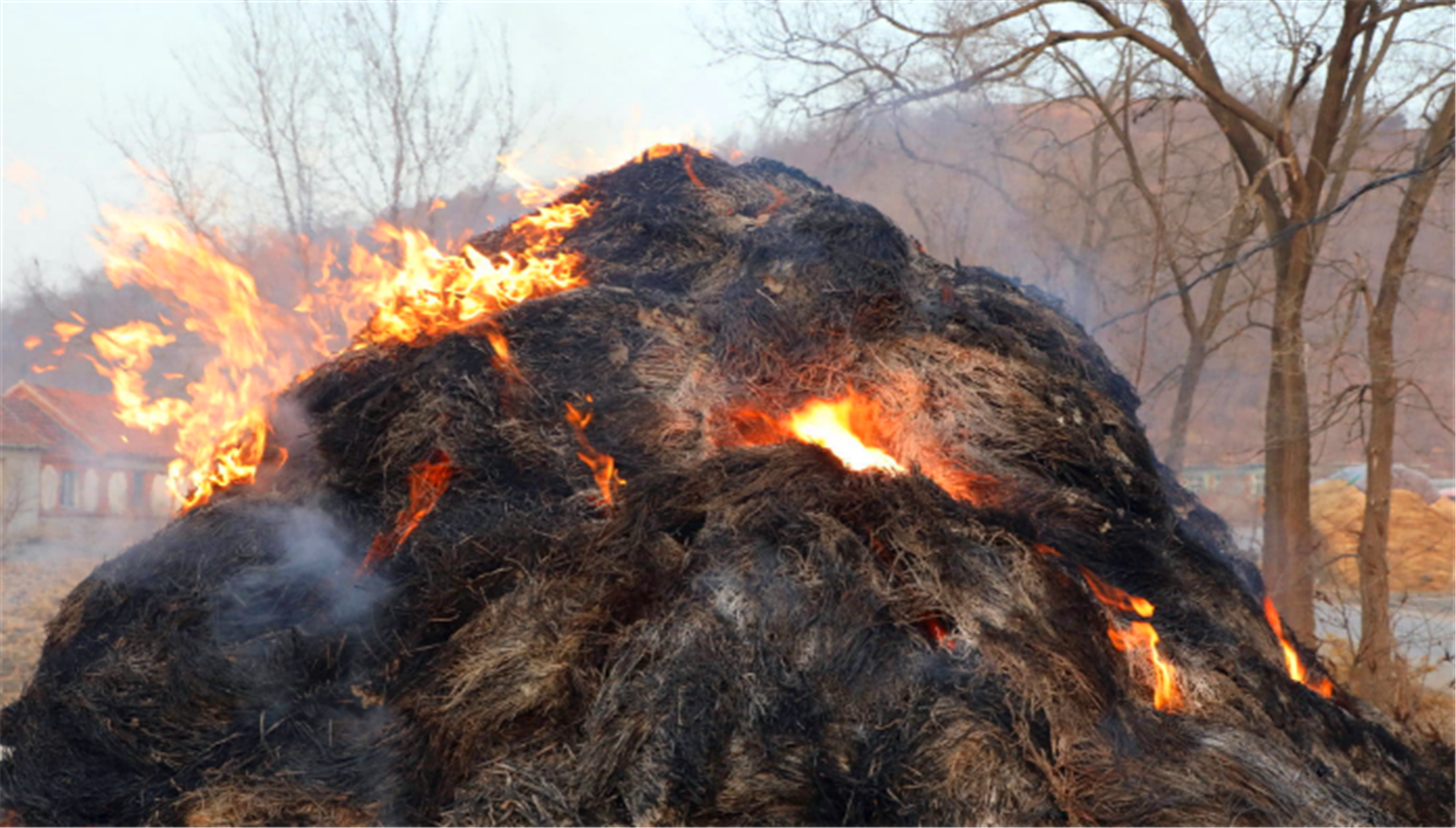 10多米长草垛莫名着火了,主人站在一旁不急不躁