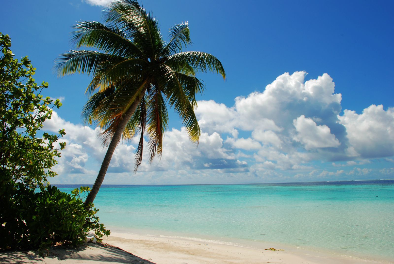 清澈蔚蓝的海上,山水秀丽,可以直接欣赏美景