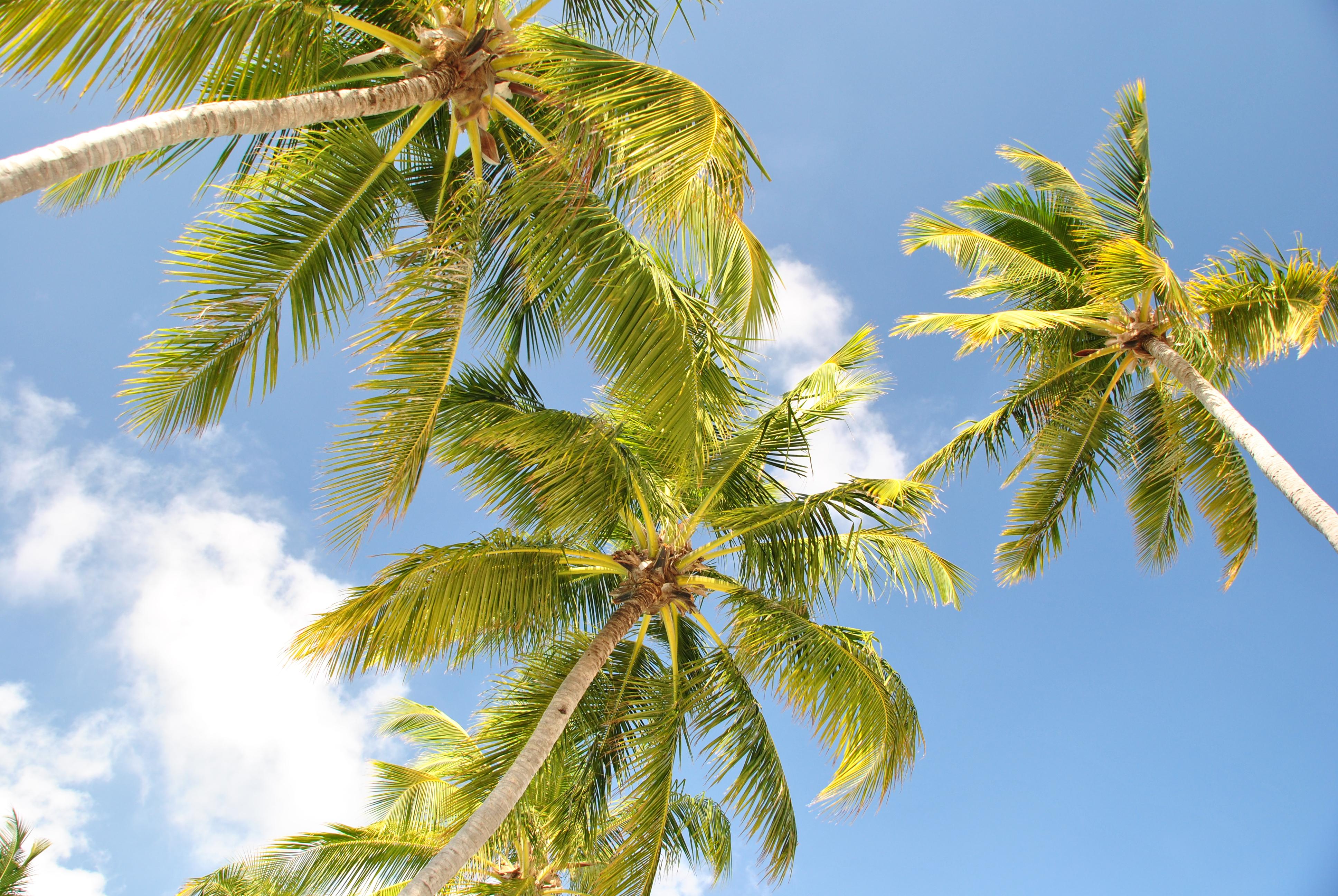 洁白的沙滩和波光粼粼,壮丽的景色,值得欣赏一下