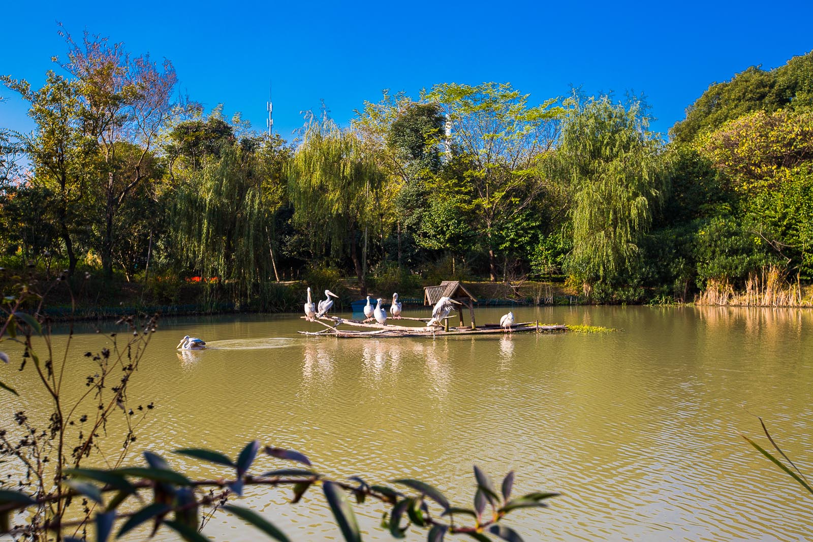 一幅幅合著天時良辰綻開的水墨畫景,定格在這塊充滿綠意的土地上