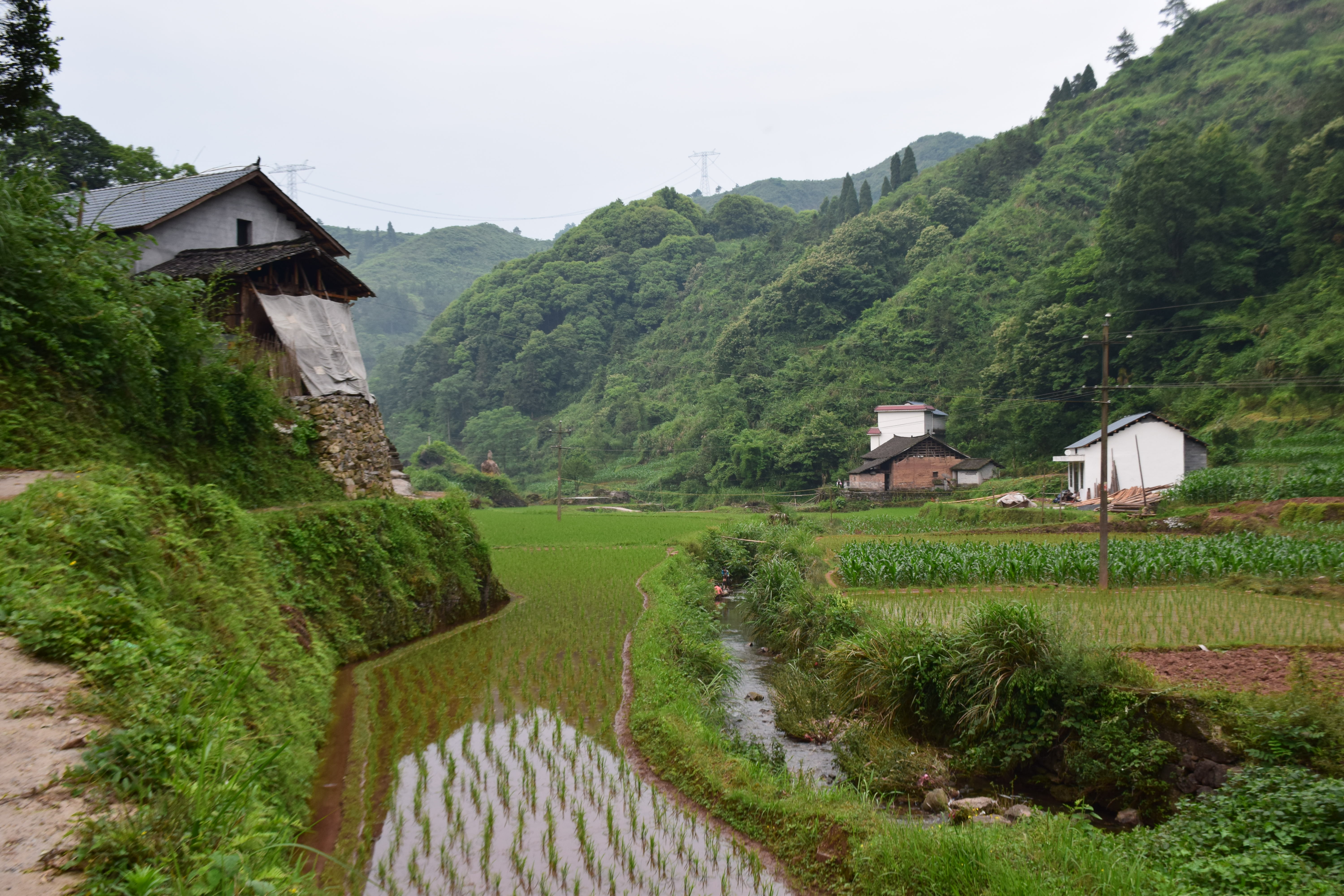 乡村风景图片真实照片图片