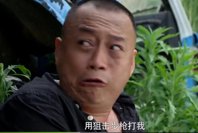 电视连续剧出击全集(电视连续剧出击全集播放)