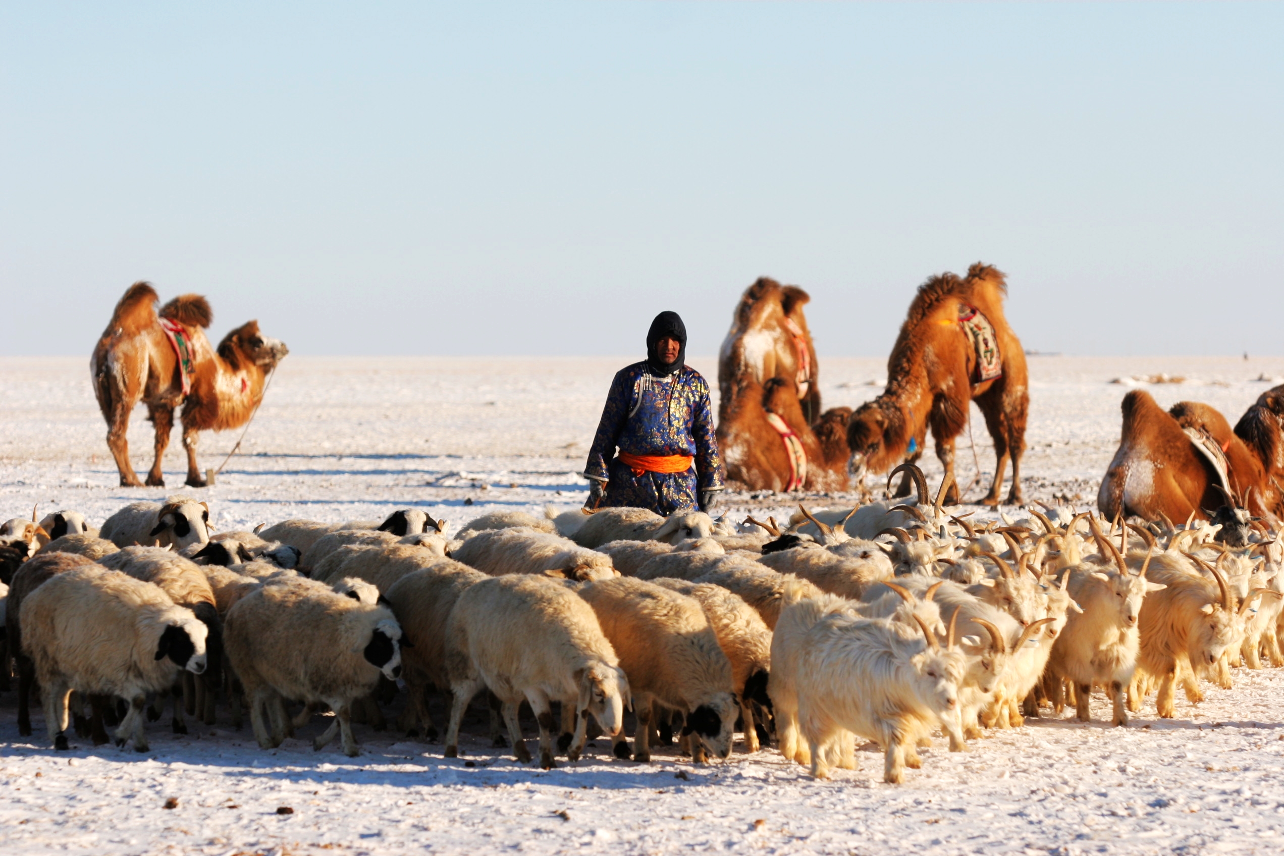锡林郭勒草原上的人们