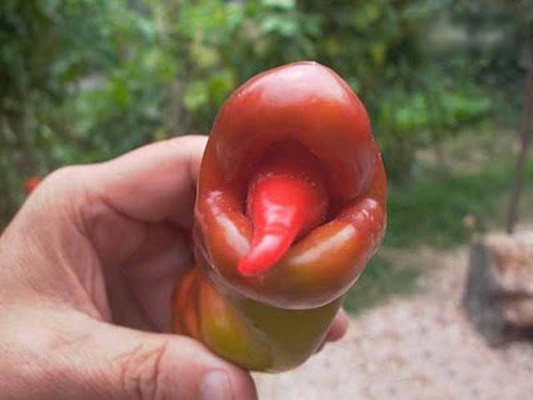 一些长相奇特的食物,有些真是要成精了