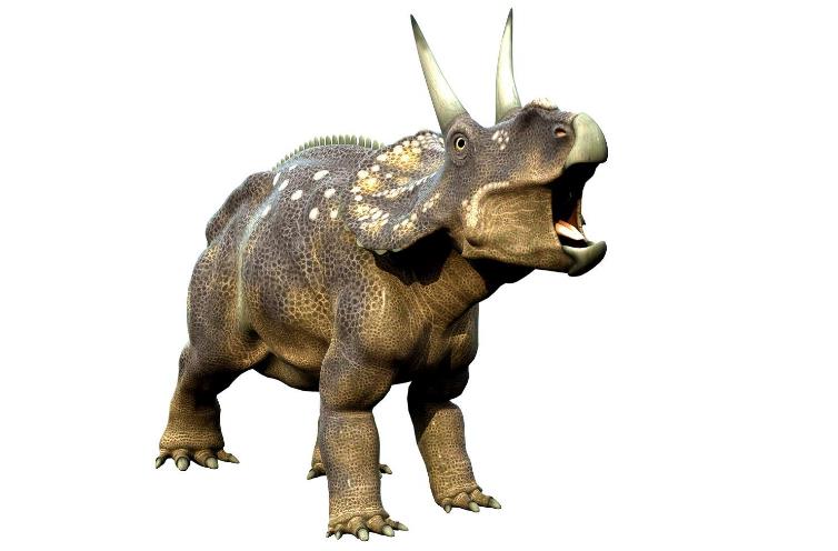 5种特殊的史前动物,第3种为最原始鸟类,分布中国