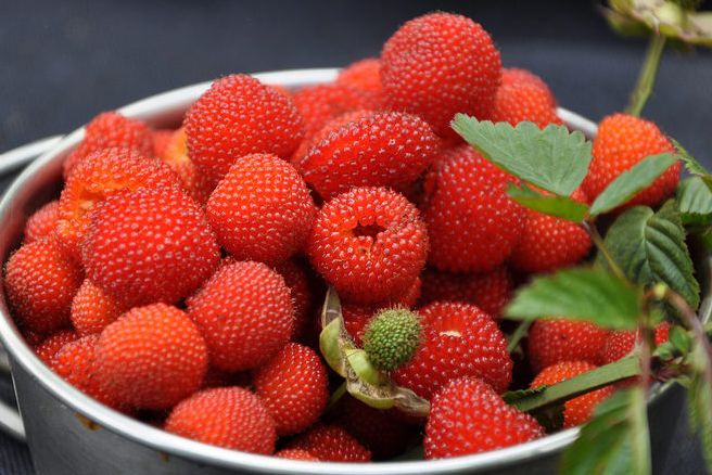 空心泡(空心泡沫砖能挂电视吗)