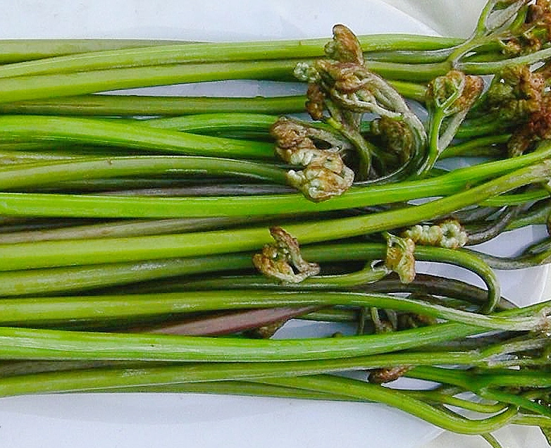 你们吃过不要钱的天然绿色菜吗?我是吃过,只要走走路就能得到哦