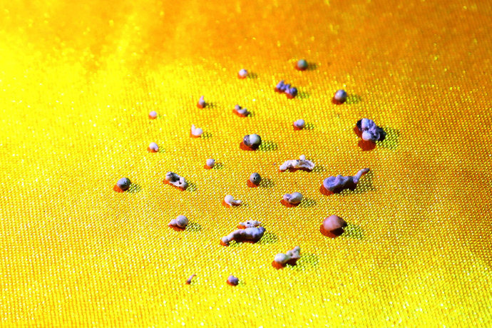 世行老和尚真舍利照片