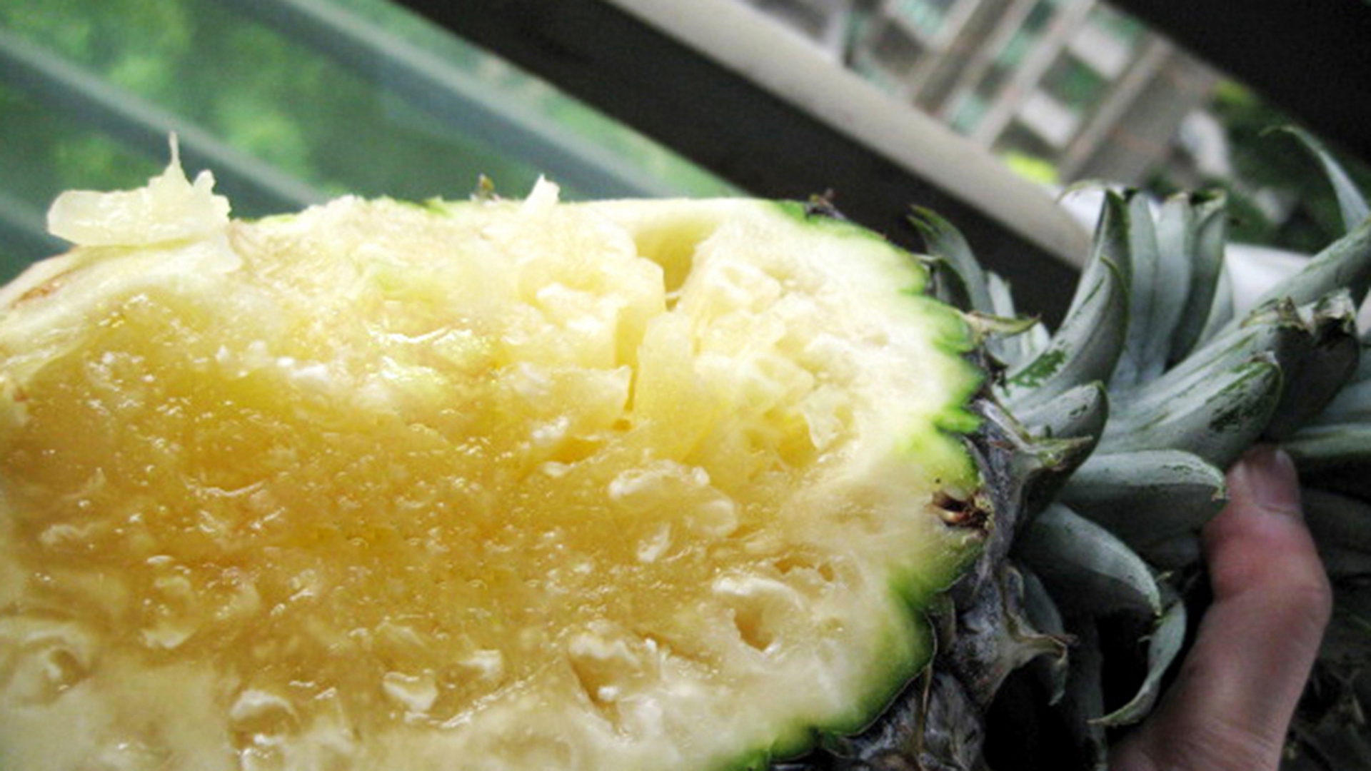 艳凤梨是专门作为观赏花卉培育的,有些花卉市场会有卖的.