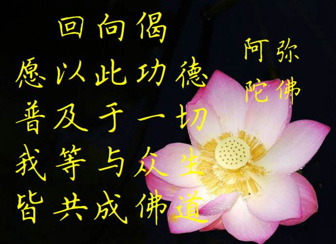 念佛行善要回向功德,就像一盏灯点燃许多灯,将福报回向他人!