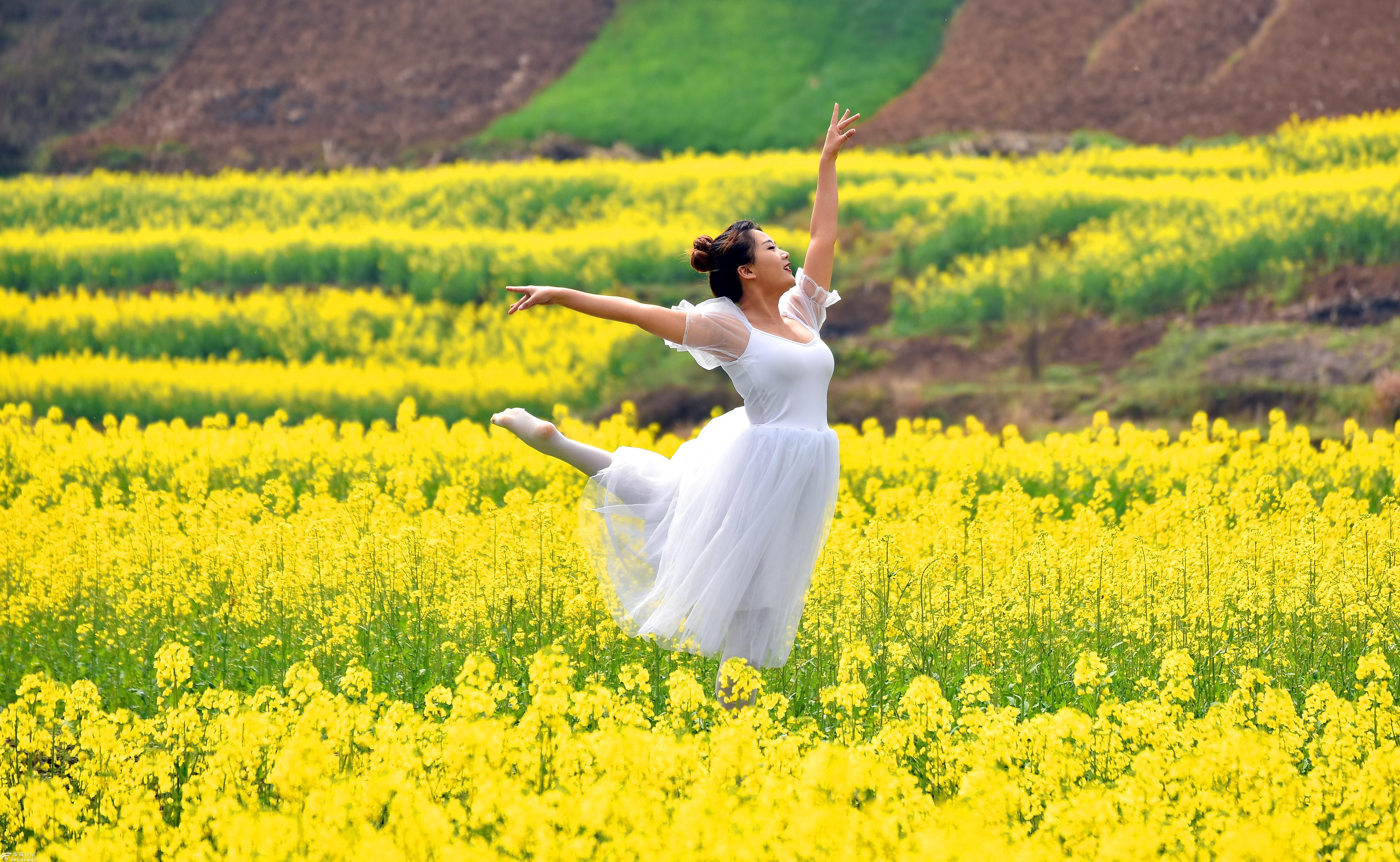 风景摄影:美少女在花中翩翩起舞,一幅好美的画面