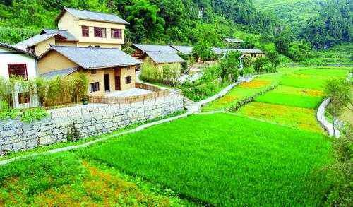 四川古蔺县休闲观光农业又添一喜:白马村