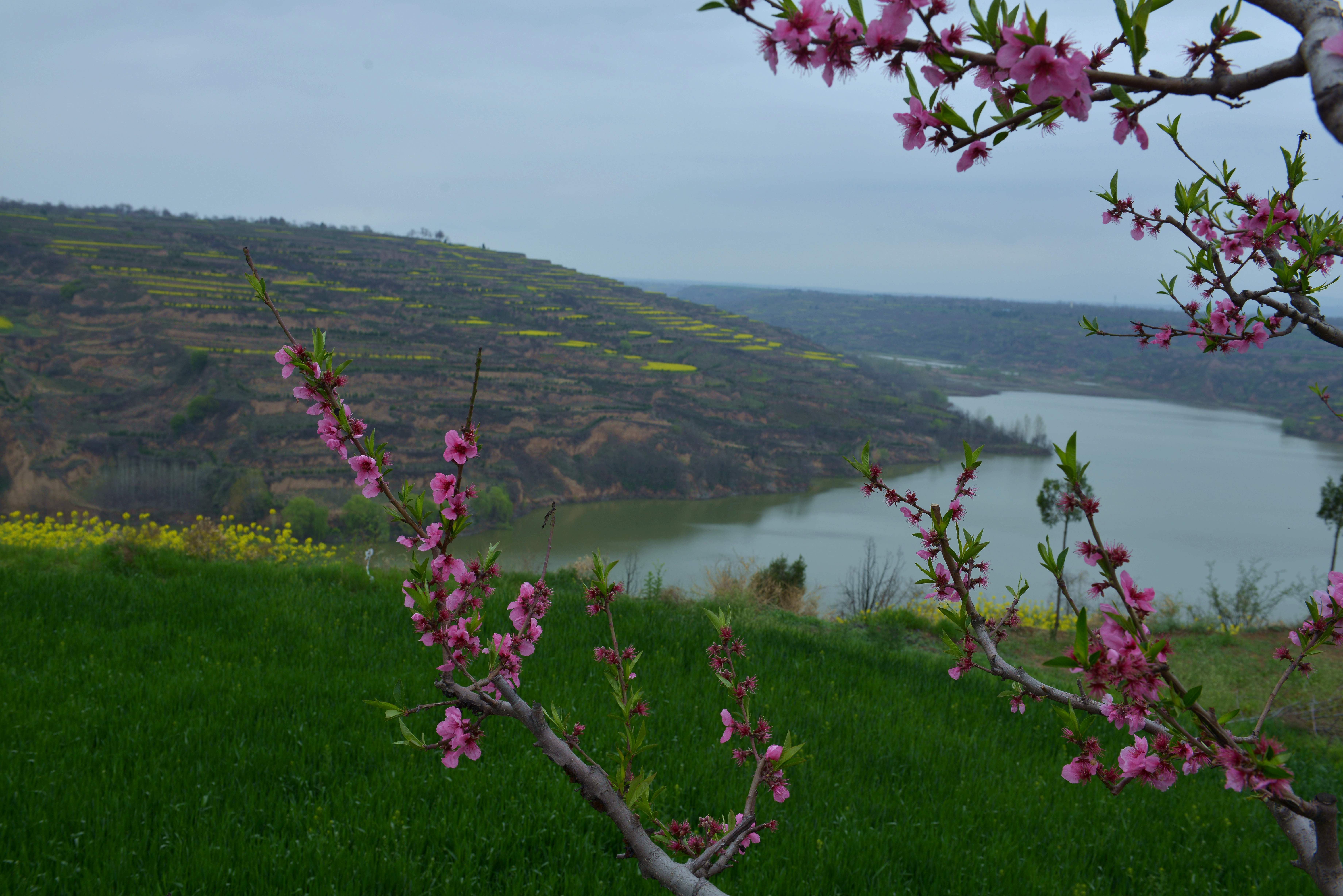西安城东有零口世外桃花源