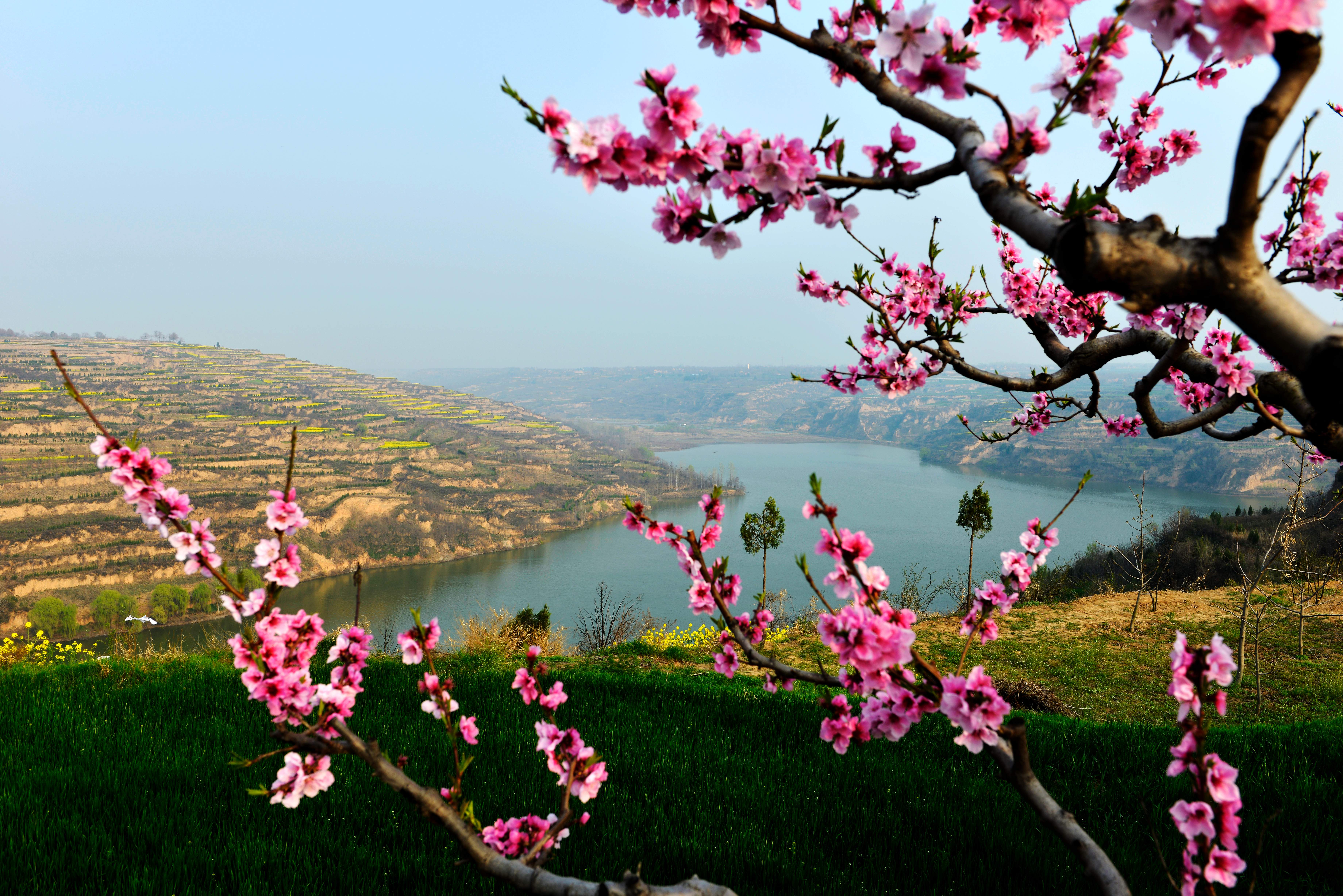 西安城东有零口世外桃花源