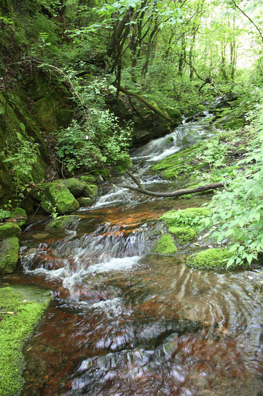 终南山腹地——南梦溪