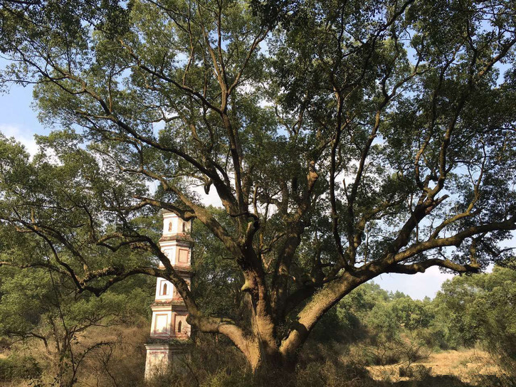赣江边的千年古村——泰和县江畔村