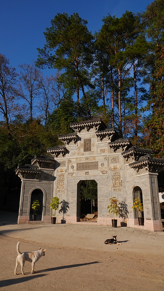 夕阳下的武夷山天心永乐禅寺