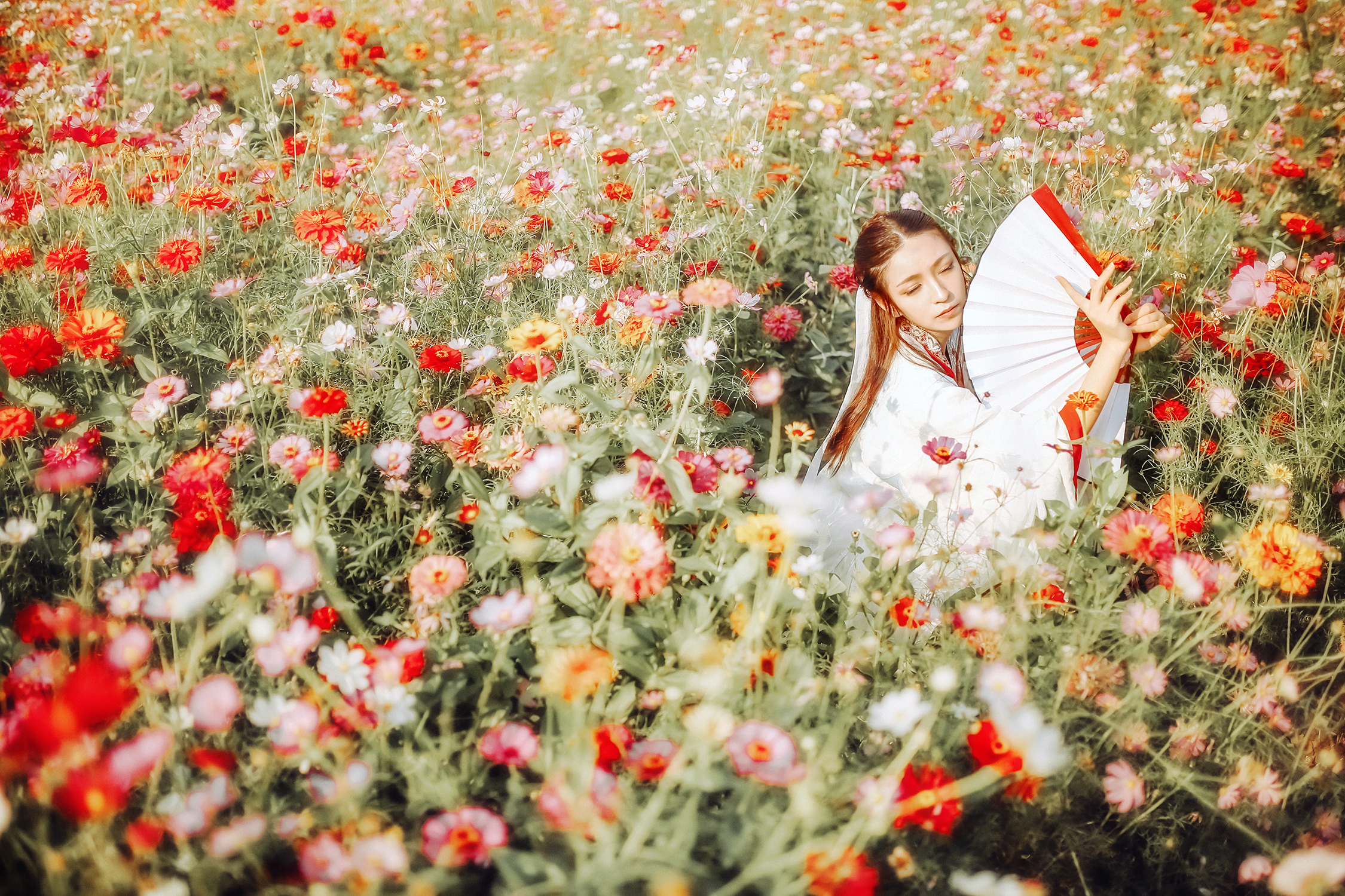 唯美花海古风旅拍,繁花赠你,春光赠你!