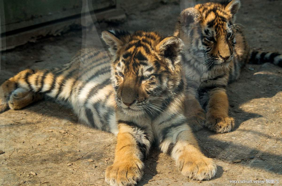 本来,泰国北碧府巴銮达博寺,位于泰国曼谷西北方向20