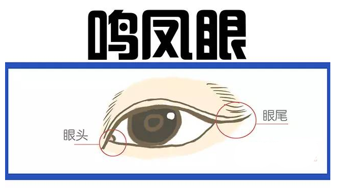 眼睛中的两种富贵眼相"鸣凤眼"与"丹凤眼",你有没有?