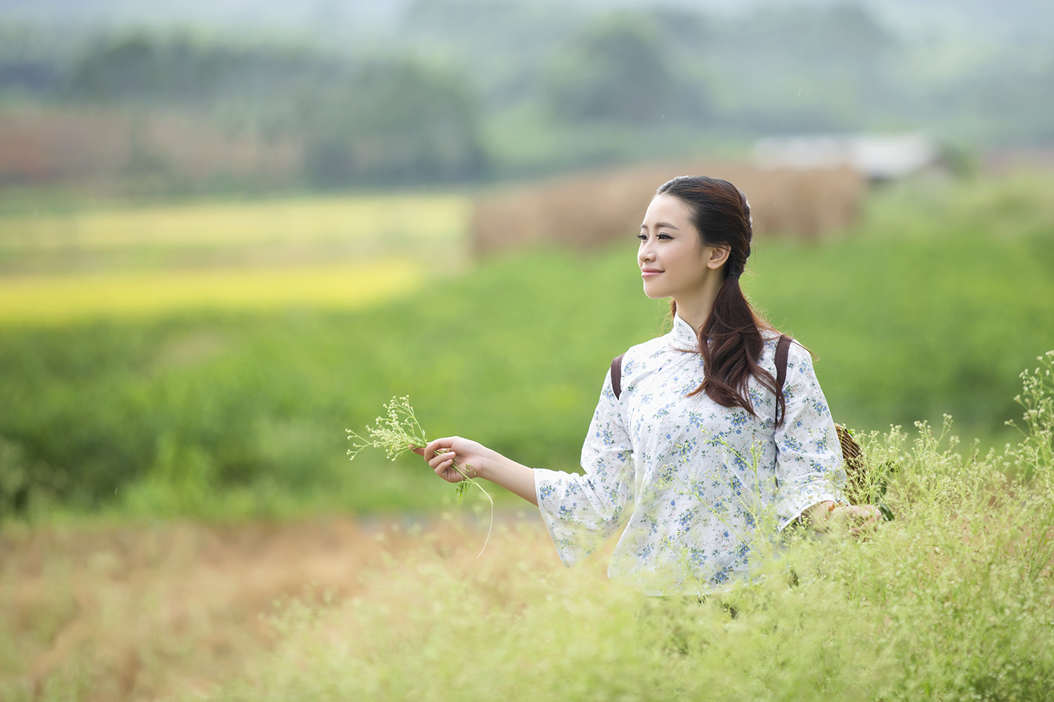 光影欣赏《快乐的小芳》