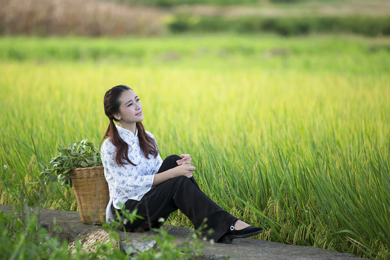 光影欣赏《快乐的小芳》