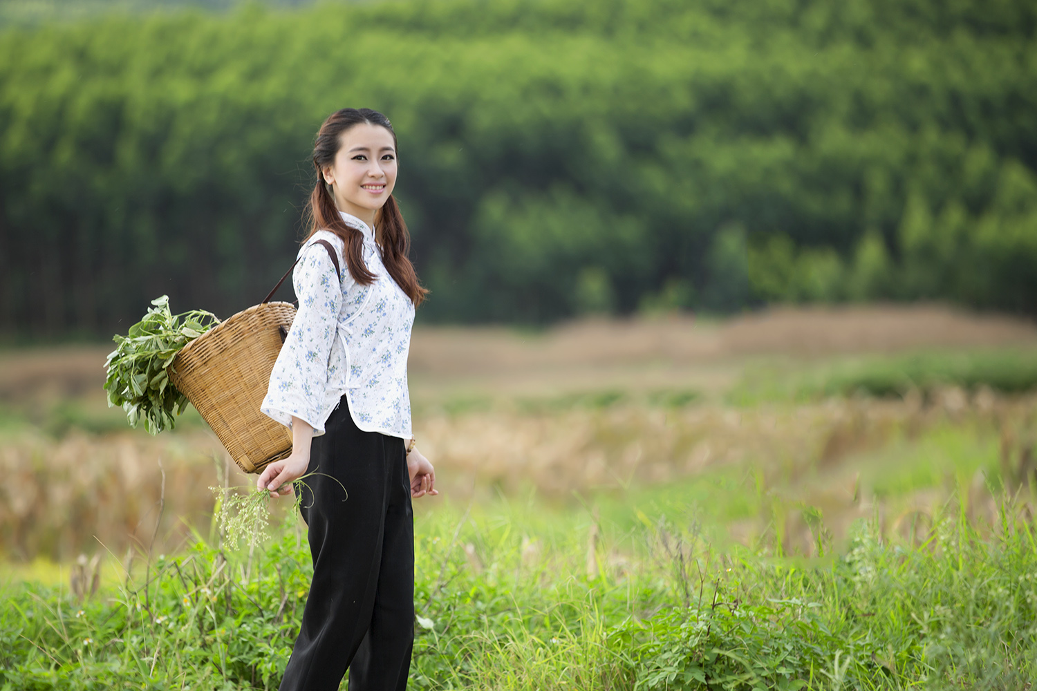 光影欣赏《快乐的小芳》