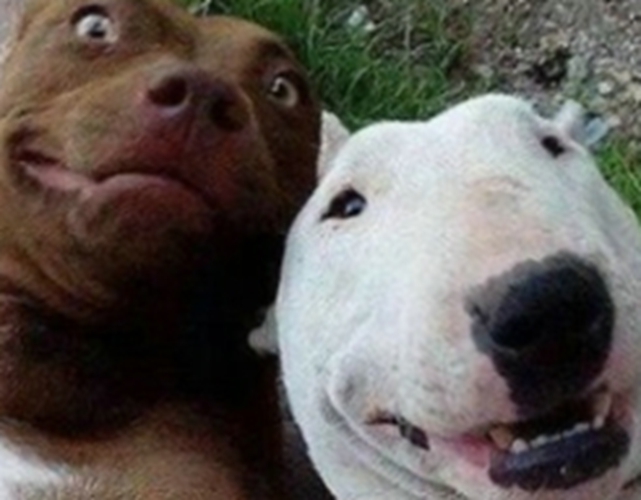 摄影师镜头下的"奇葩照片",第一张吓我一跳,最后一张有亮点!