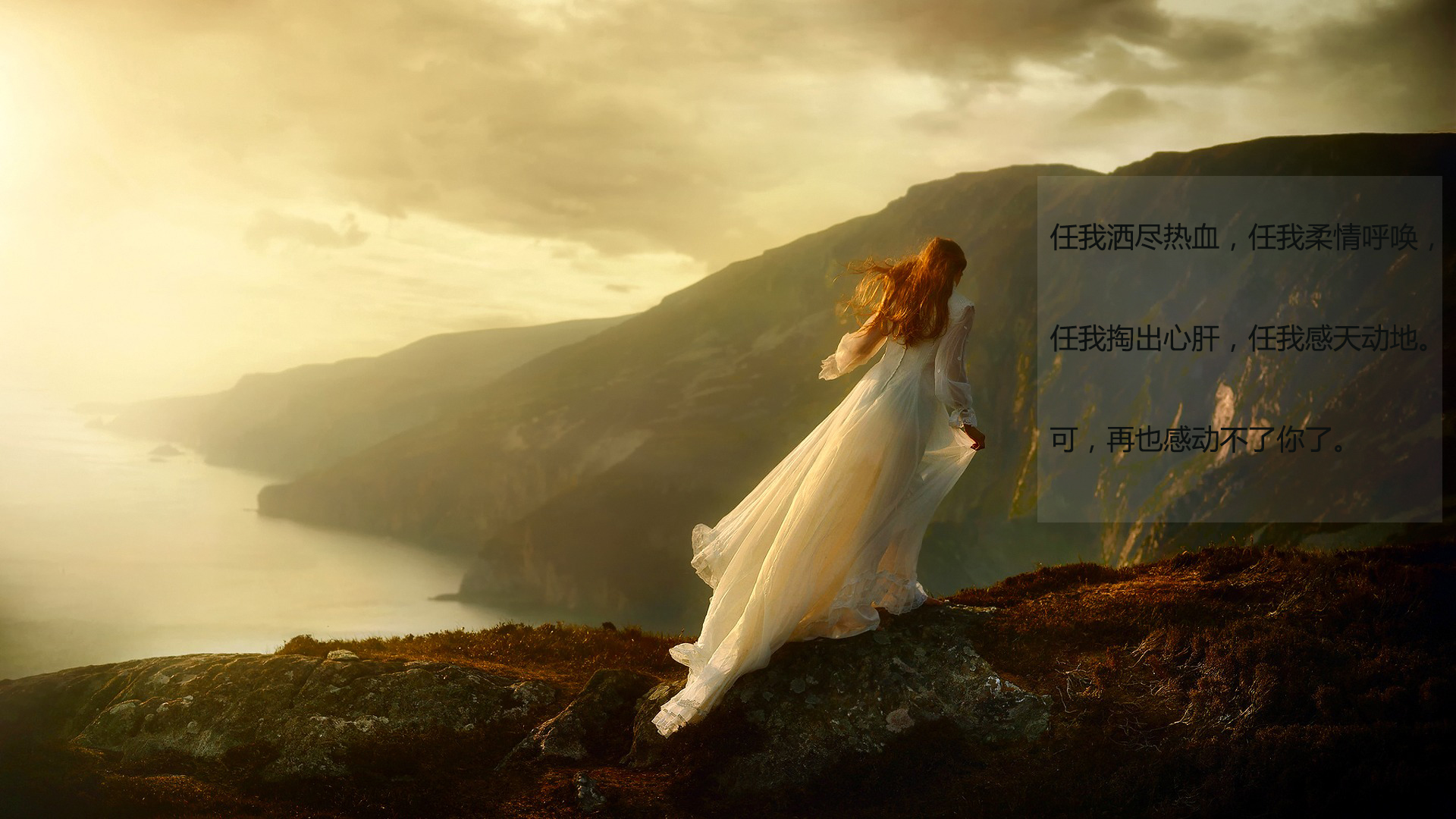 彻底死心的句子配图