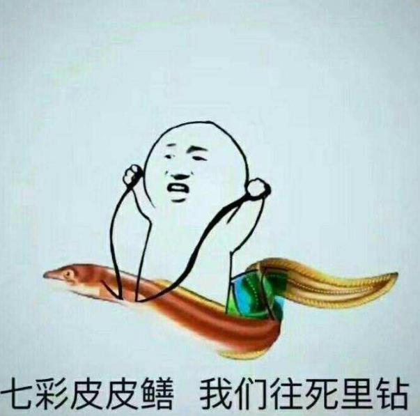 皮皮鳝我们钻图片图片