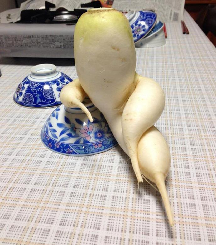 盘点那些成精的萝卜们,这可能是世界上最不正经的蔬菜!
