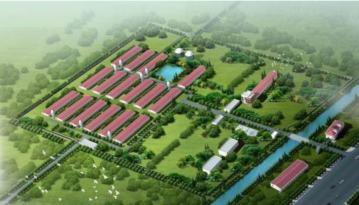 为什么专家说2019年养猪都不可能赚钱?养猪进入微利时代了吗?