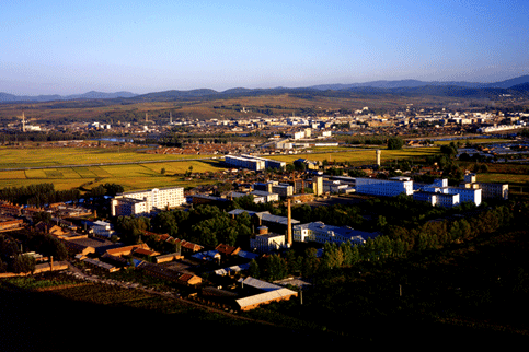 授予"中国白鹤之乡"荣誉称号——镇赉县!