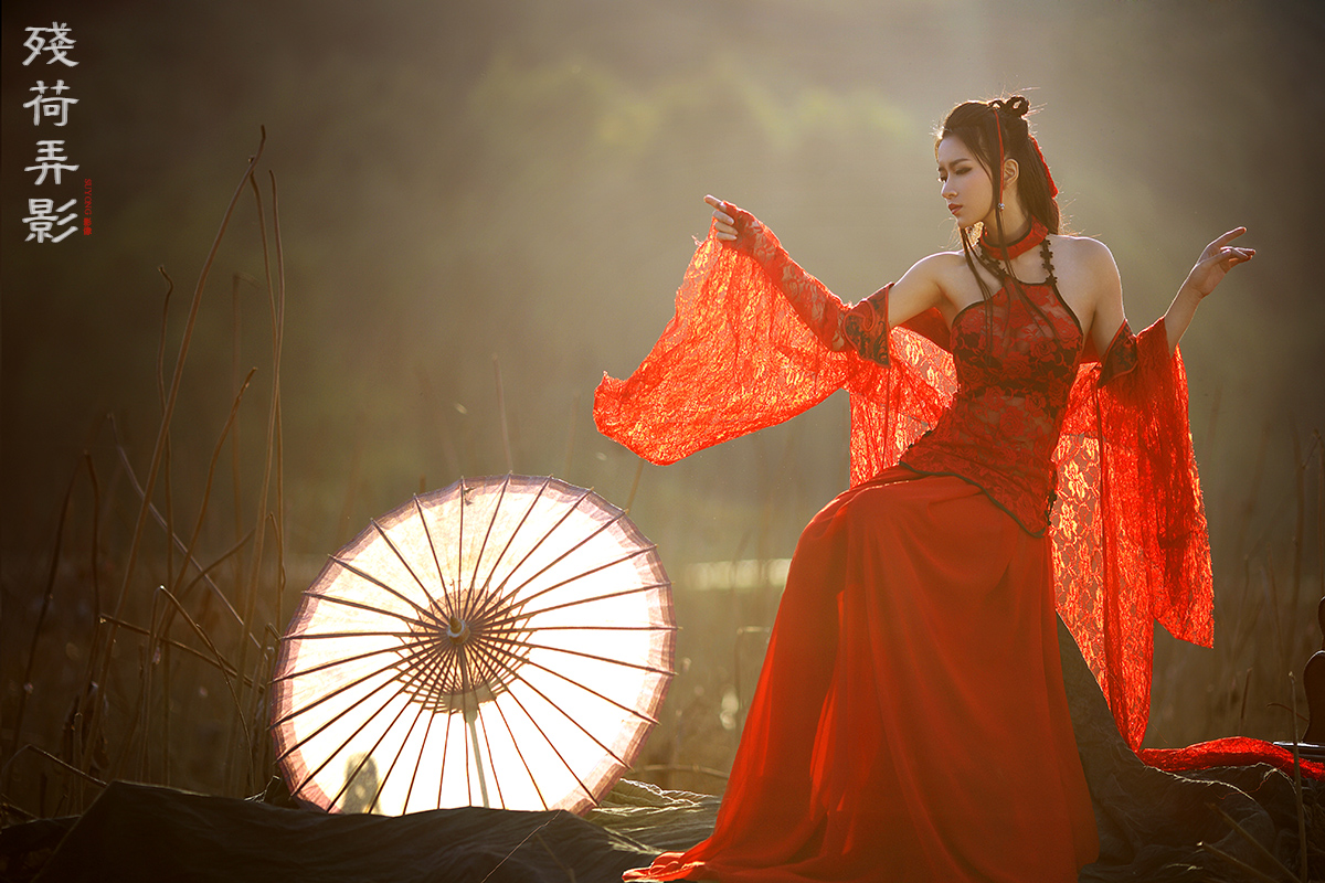 光影欣赏《残荷弄影》