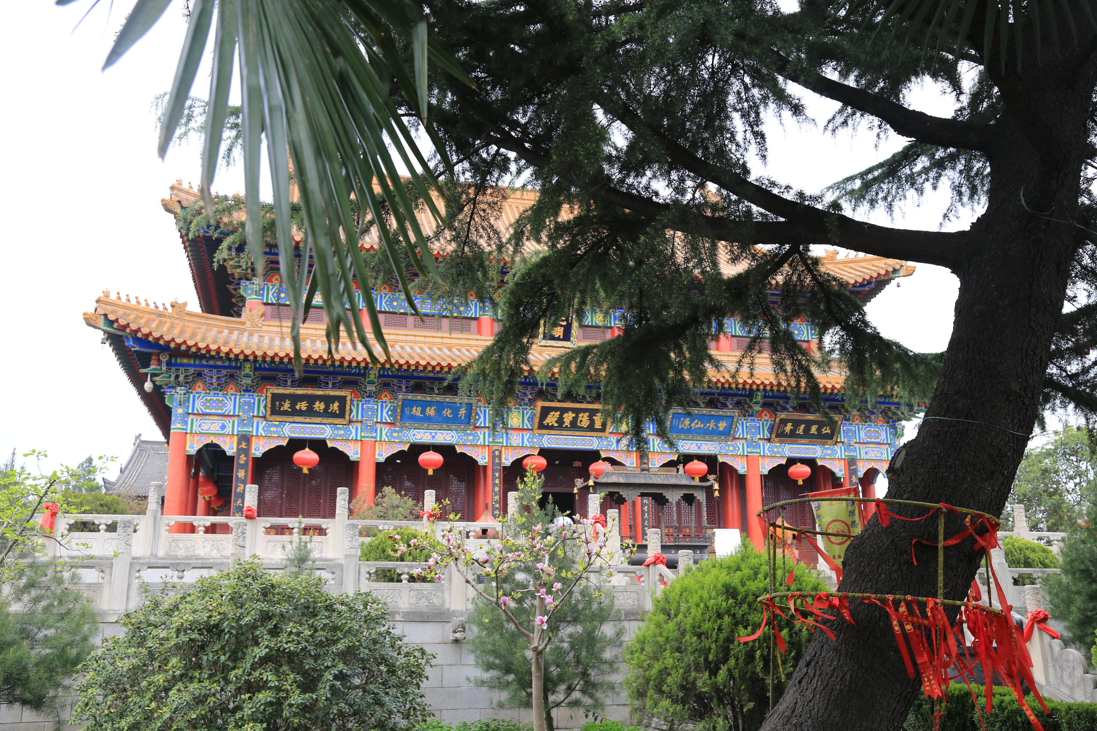 西安开车30分钟到鄠邑重阳宫 看千年银杏活死人墓门票仅一包烟钱