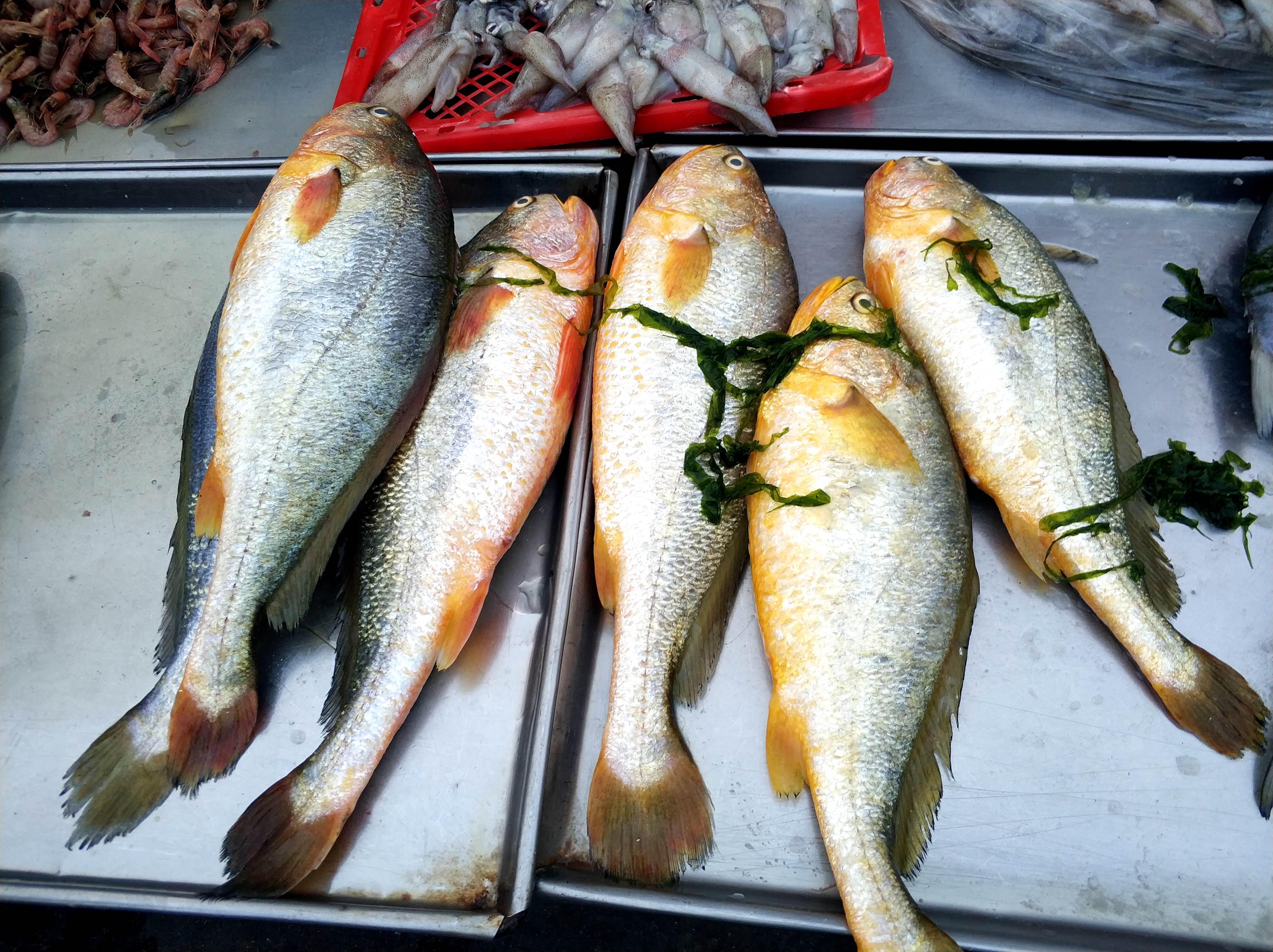 青岛逛晚市 纯野生"海蜂子"25元一斤 皮皮虾价高 摊主进货谨慎