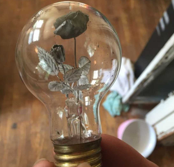 这些老式灯泡,以装饰性鲜花的形态照亮您的房间