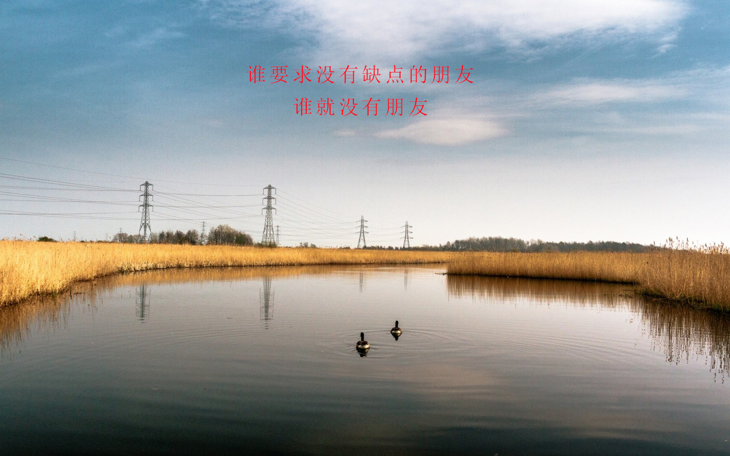 朋友坦诚相待治愈系励志语录图片 请珍惜对你好的朋友